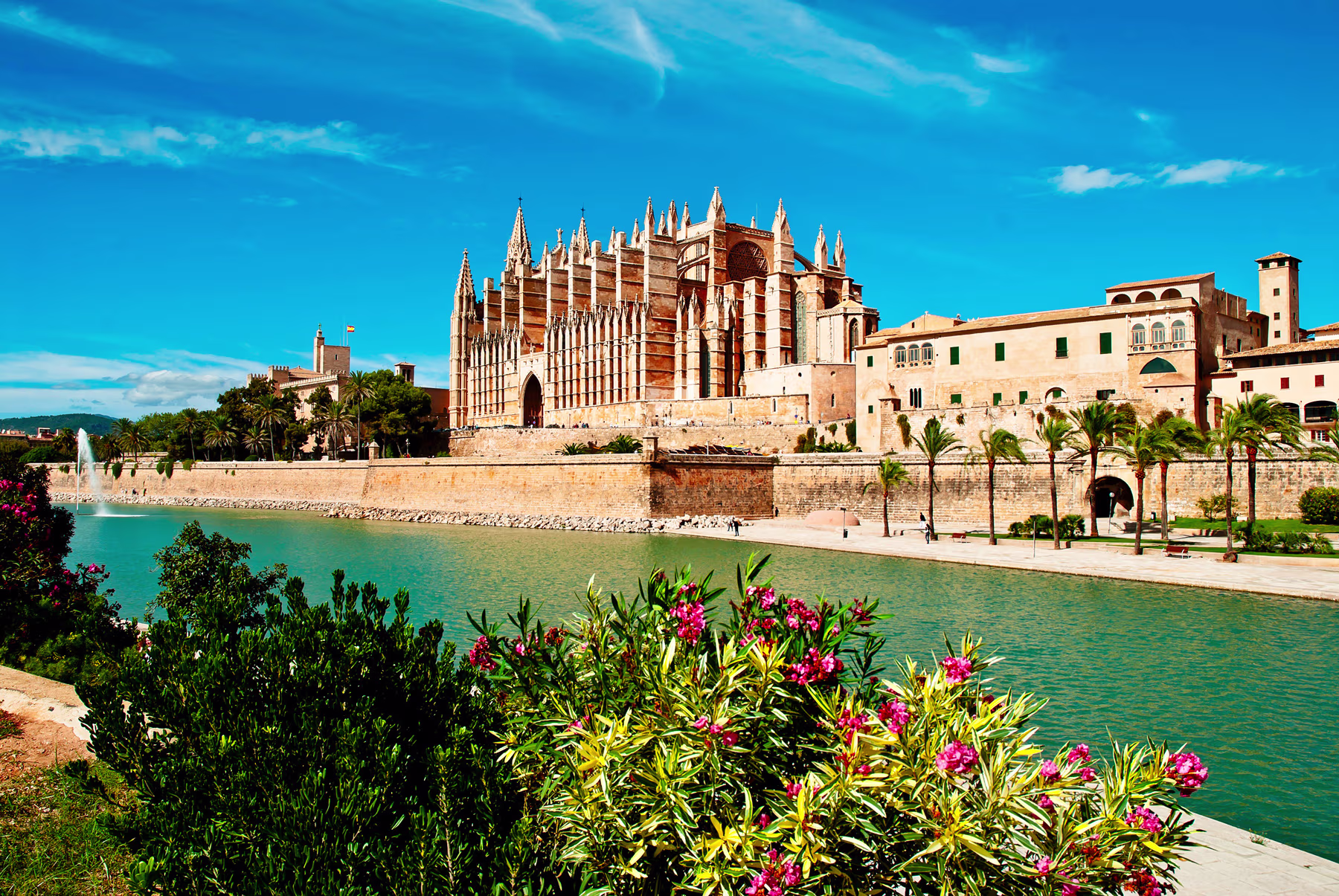 h81iyk4llkrtsouodtsz